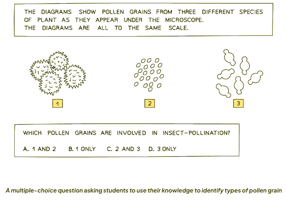 Sexual Reproduction in Plants | Biology for GCSE/IGCSE - Class 10