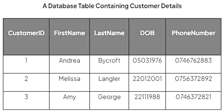 Types of Database | IGCSE Information and Communication Technology Preparation - Year 11