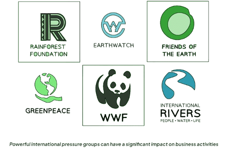 Environmental Concerns: Pressure Groups | Business Studies for GCSE/IGCSE - Class 10
