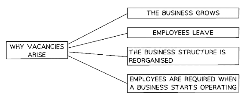 Recruitment Methods | Business Studies for GCSE/IGCSE - Class 10