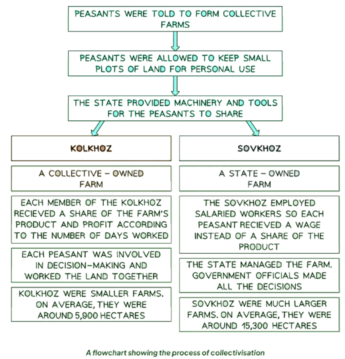 Why Did Stalin Introduce Collectivisation? | History for GCSE/IGCSE - Class 10