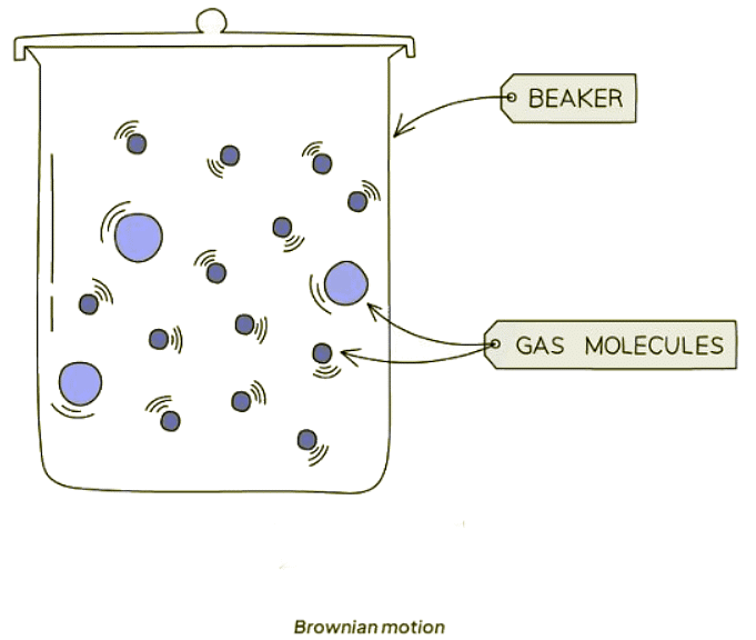 Diffusion in Biology | Biology for GCSE/IGCSE - Class 10