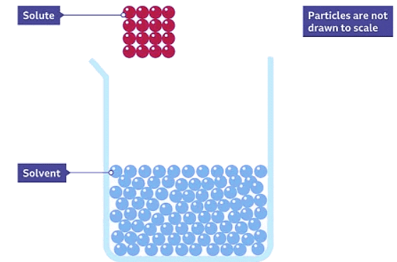 Soluble Particles Example Dissolving - Year 7 PDF Download