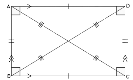 2D Shapes | Mathematics for GCSE/IGCSE - Year 11
