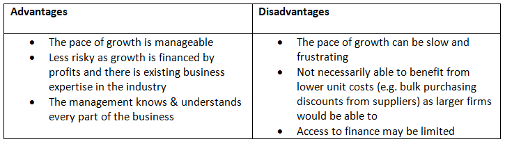 Types of Business Growth | Business Studies for GCSE/IGCSE - Class 10