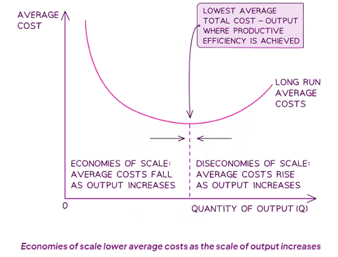 Economies of Scale | Business Studies for GCSE/IGCSE - Class 10