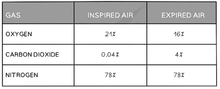 Composition of Air Table
