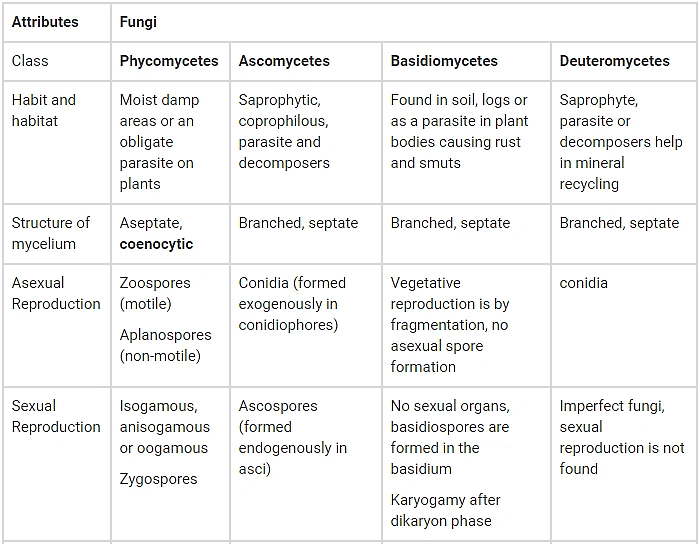 Biological Classification | Biology for JAMB