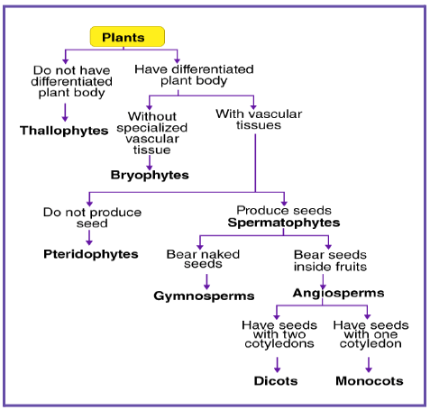 Fig. Classification of Plant Kingdom