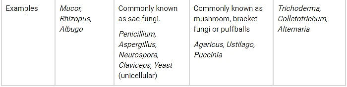 Biological Classification | Biology for JAMB