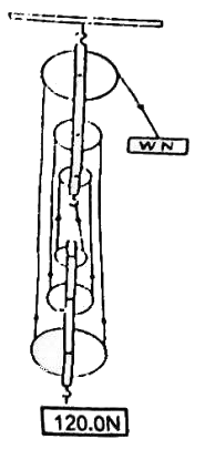 JAMB Physics Previous Year Questions: 2020