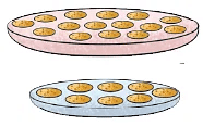 Area | Mathematics for Grade 4
