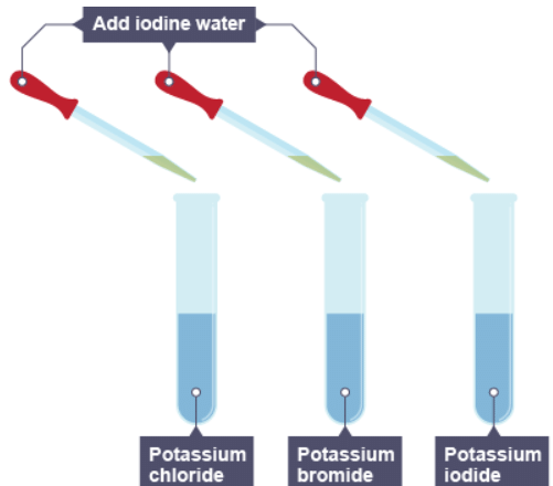Groups in the periodic table | Chemistry for Grade 10
