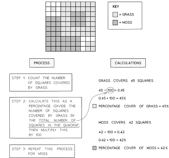 How to estimate percentage cover of one or more species using a quadrat