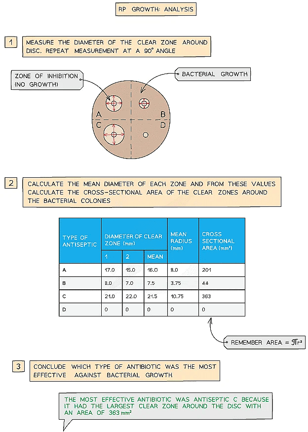 Required Practical: Growth | Biology for Grade 10