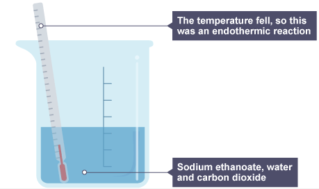 Exothermic & Endothermic Reactions | Chemistry for Grade 10