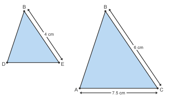 Notes: Congurent & Similar Shapes | Mathematics for Grade 10