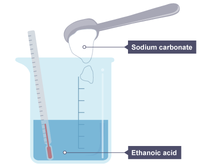 Exothermic & Endothermic Reactions | Chemistry for Grade 10