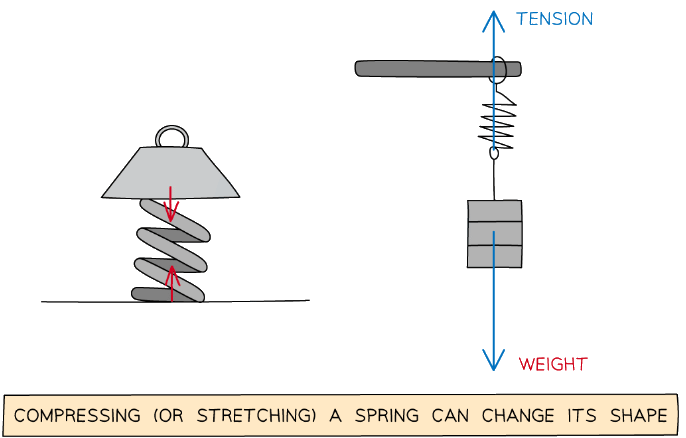 The compression or stretching of a spring requires two forces