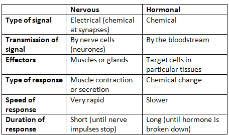 Human Endocrine System | Biology for Grade 10