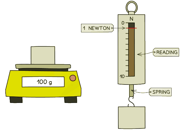 Weight can be measured using a top-pan balance or a newton-meter
