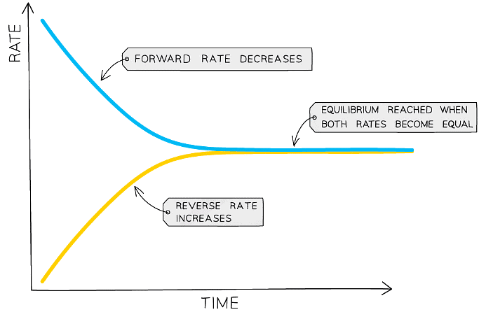 Diagram showing the effect of catalyst on equilibrium position