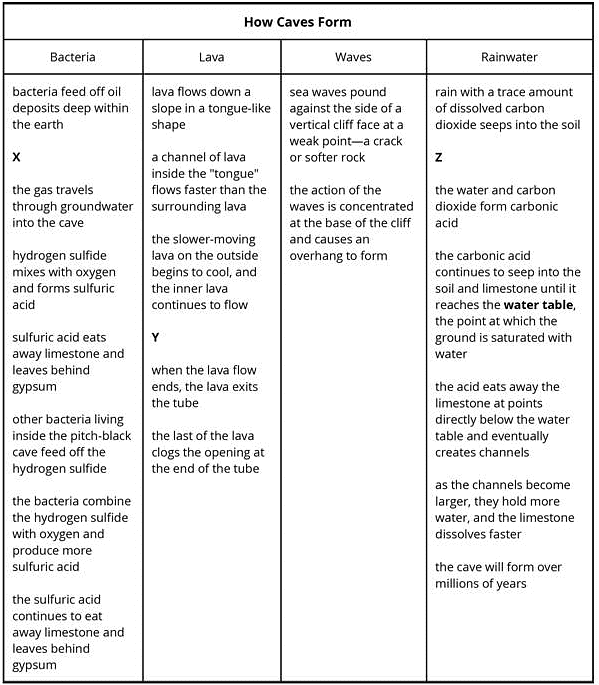 Practice Reading Comprehension - 3 | English Language for Grade 10