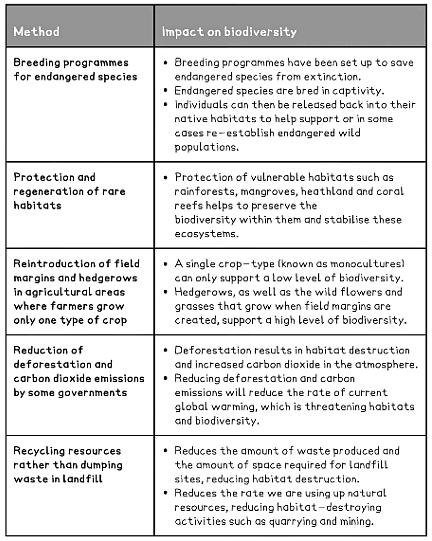 Positive & Negative Human Impact