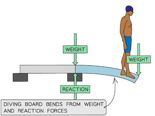 Forces on a diving board cause it to be bend when a swimmer stands on one end