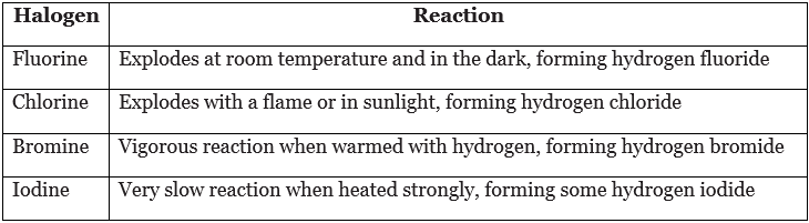 Groups in the periodic table | Chemistry for Grade 10