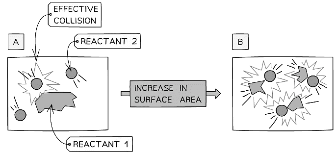 An increase in surface area means more collisions per second
