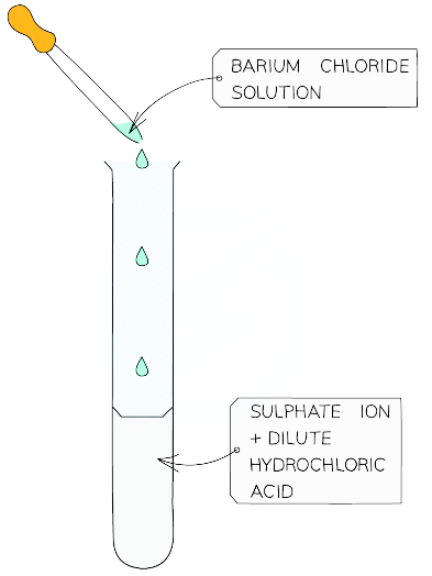 A white precipitate of barium sulfate is a positive result for the presence of sulfate ions