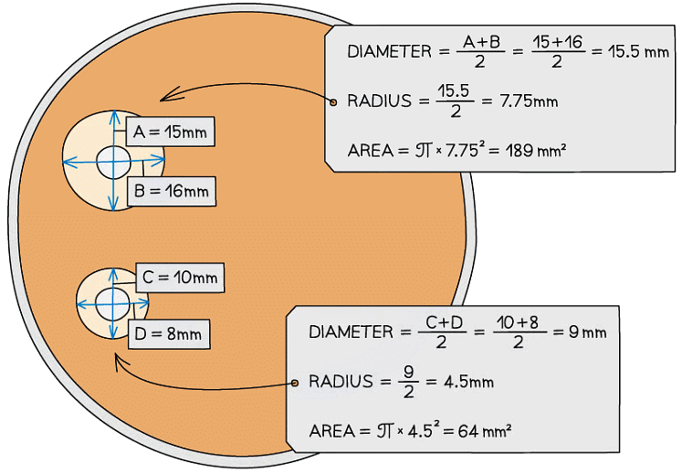 Culturing Microorganisms | Biology for Grade 10