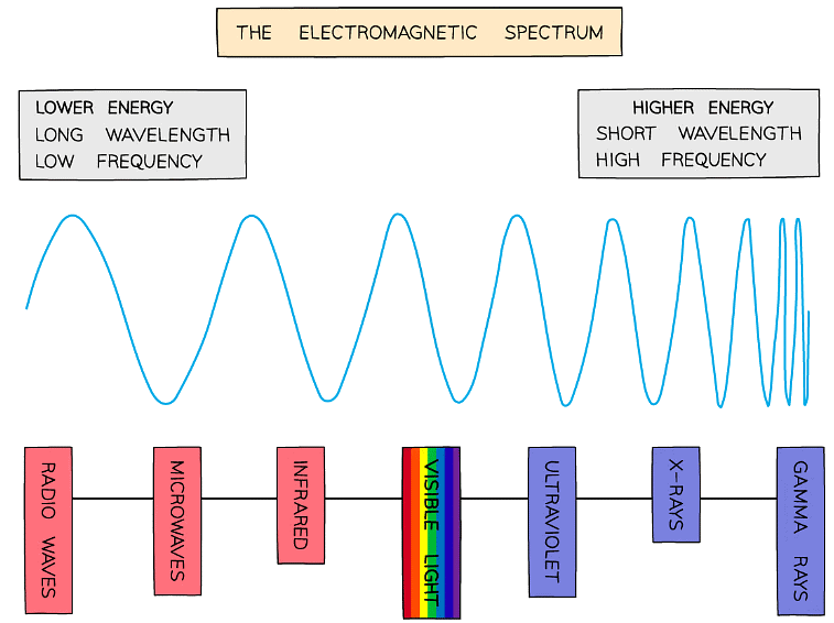 Visible light is just one small part of a much bigger spectrum: The electromagnetic spectrum