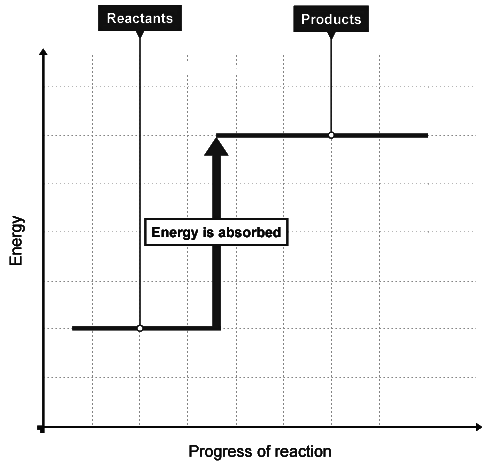 Exothermic & Endothermic Reactions | Chemistry for Grade 10