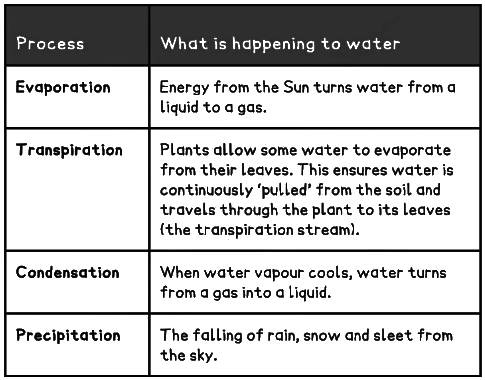 Water Cycle