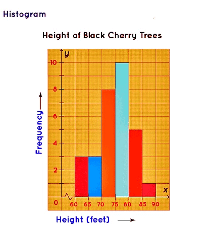 Histogram | Mathematics for Grade 10