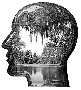 Planning an Effective Response