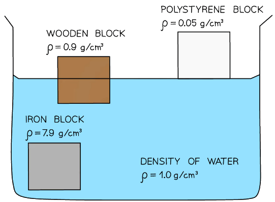 Objects which are less dense than water will float and which are more dense will sink