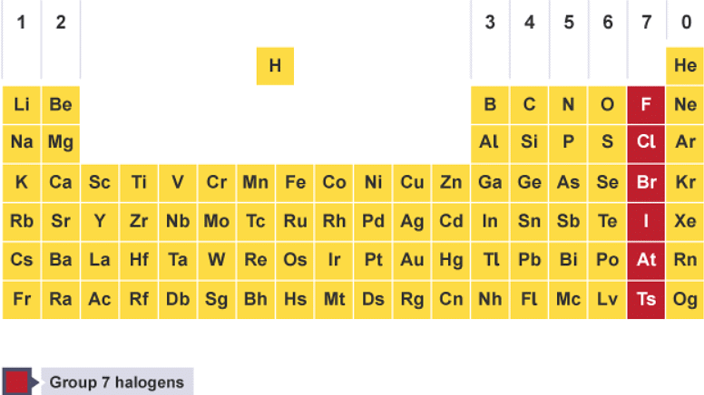 Groups in the periodic table | Chemistry for Grade 10