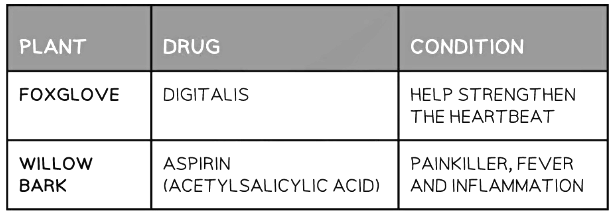 Discovering New Drugs
