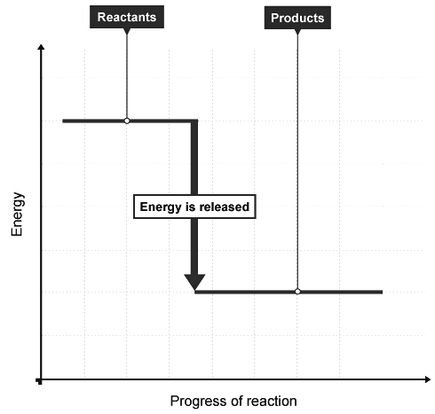 Exothermic & Endothermic Reactions | Chemistry for Grade 10