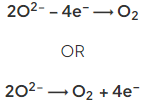 Half Equations in Electrolysis | Chemistry for Grade 10