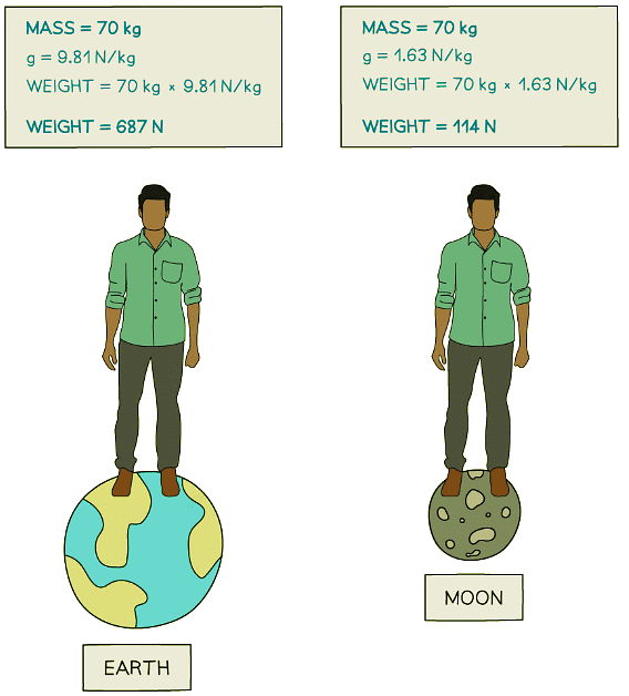 On the moon, your mass will stay the same but your weight will be much lower