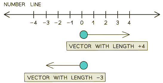 Vectors represented as positive or negative vectors depending on their direction