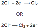 Half Equations in Electrolysis | Chemistry for Grade 10