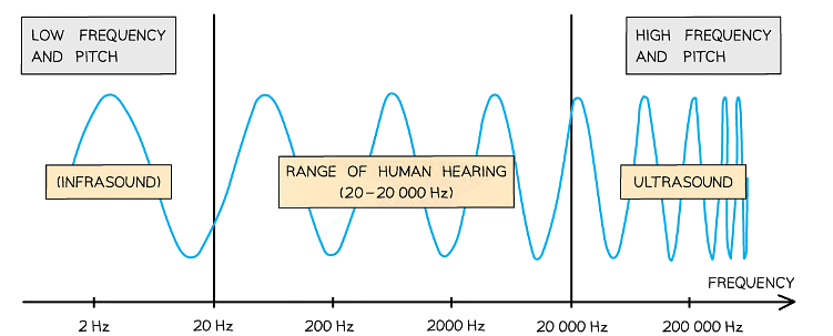 The human ear can detect sounds between around 20 and 20 000 Hz in frequency with a peak sensitivity at around 4000 Hz