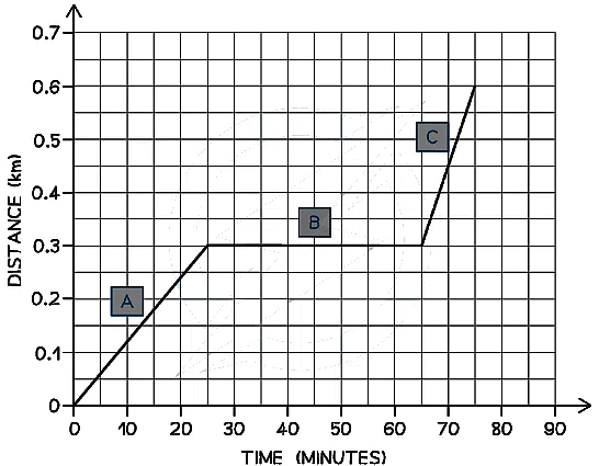 Distance-Time Graphs | Physics for Grade 10
