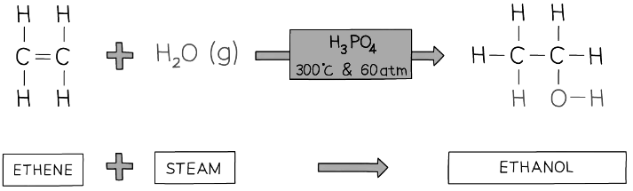 A water molecule adds across the C=C in the hydration of ethene to produce ethanol