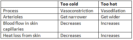 Negative Feedback | Biology for Grade 10